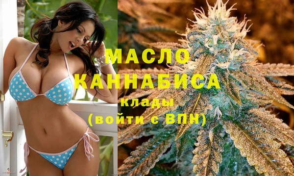 дживик Белая Холуница