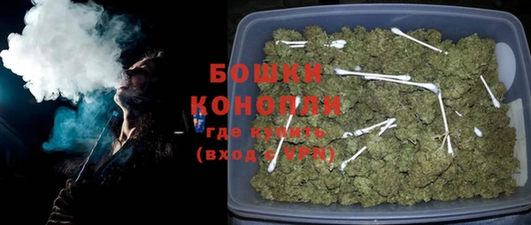 дживик Белая Холуница